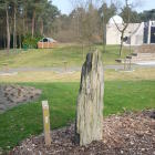 Stones in the geological garden