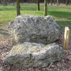 Stones in the geological garden