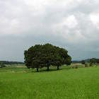 De dolmen van Oppagne