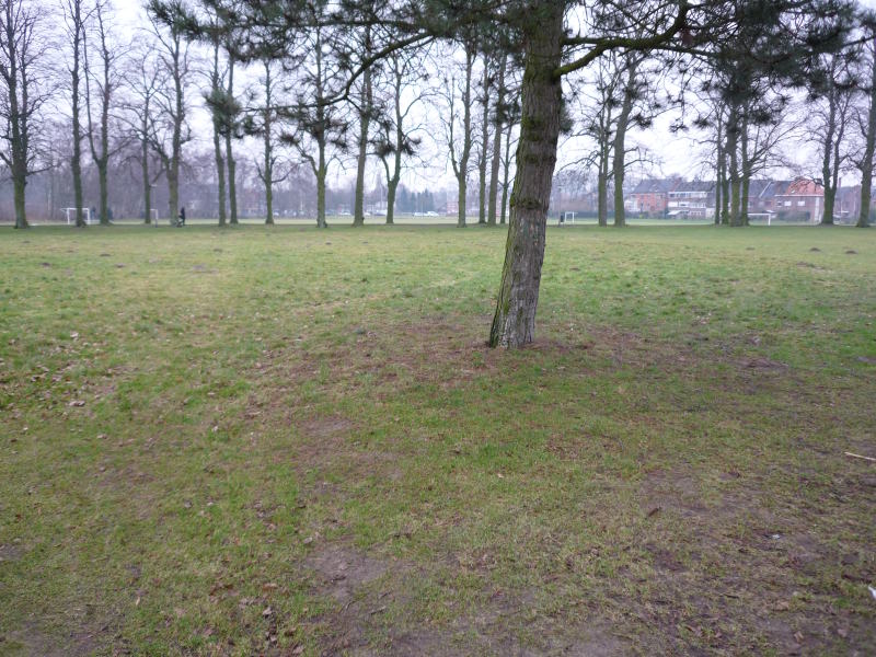 Sportvelden vlakbij